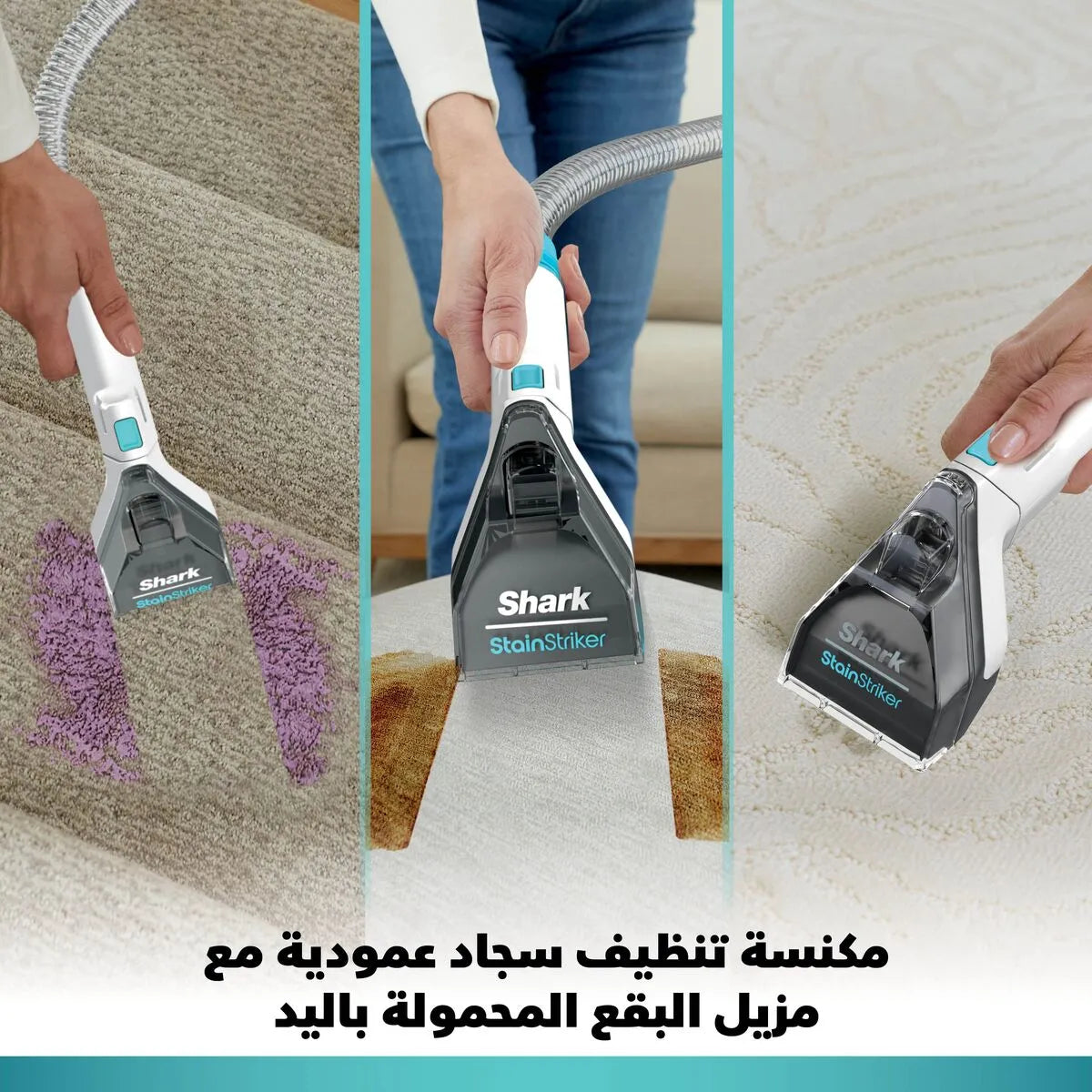 Shark CarpetXpert Deep Carpet Cleaner EX200ME  | Built-In StainStriker – 2-in-1 Carpet & Upholstery Cleaner, منظف سجاد شارك CarpetXpert | مزيل بقع مدمج StainStriker – جهاز 2 في 1 للسجاد والمفروشات